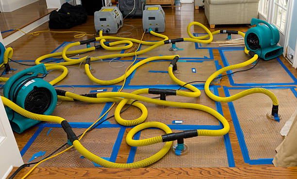 Professional Basement Flood Cleanup technician working in Lakeside, OR